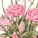 Painting - Pink Roses And Lilys