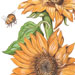 Painting - Sunflower With Bee